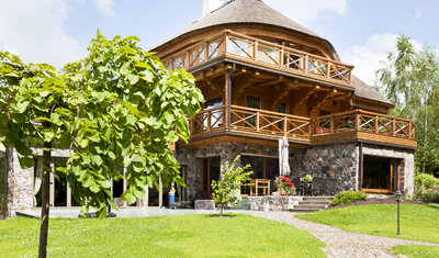 Driežas